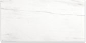 Polished Devotion 12X24 | Marino Tile NY