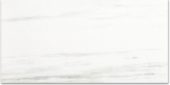 Polished Devotion 12X24 | Marino Tile NY
