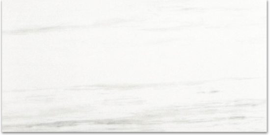 Polished Devotion 12X24 | Marino Tile NY