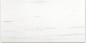 Polished Devotion 12X24 | Marino Tile NY