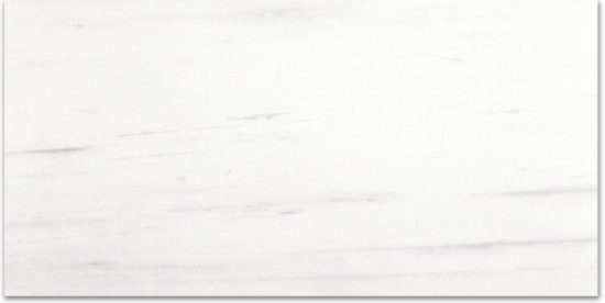 Polished Devotion 12X24 | Marino Tile NY