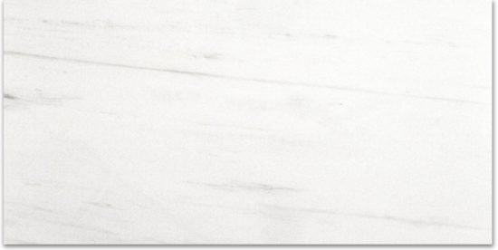 Polished Devotion 12X24 | Marino Tile NY