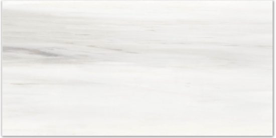 Polished Devotion 16X32 | Marino Tile NY