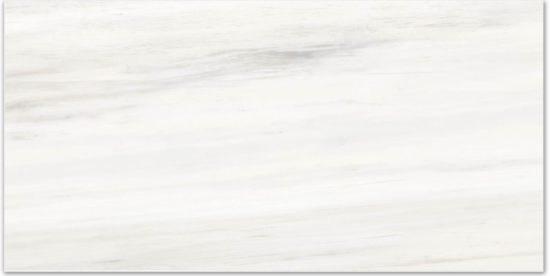 Polished Devotion 16X32 | Marino Tile NY