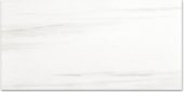 Polished Devotion 24X48 | Marino Tile NY