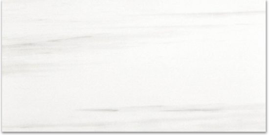 Polished Devotion 24X48 | Marino Tile NY