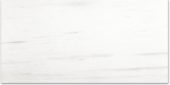 Polished Devotion 24X48 | Marino Tile NY