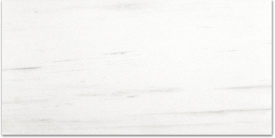 Polished Devotion 24X48 | Marino Tile NY