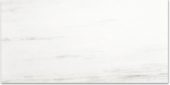 Polished Devotion 24X48 | Marino Tile NY