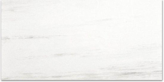 Polished Devotion 24X48 | Marino Tile NY