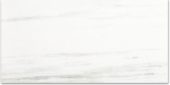 Polished Devotion 24X48 | Marino Tile NY