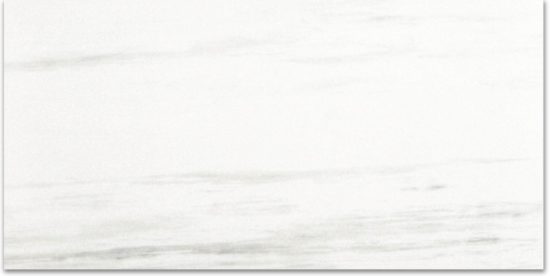 Polished Devotion 24X48 | Marino Tile NY