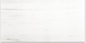 Polished Devotion 24X48 | Marino Tile NY