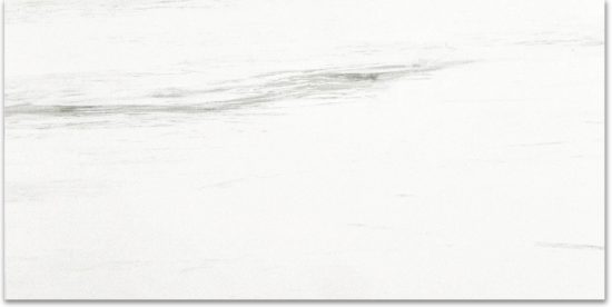 Polished Devotion 24X48 | Marino Tile NY