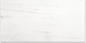 Polished Devotion 24X48 | Marino Tile NY
