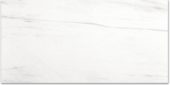 Polished Devotion 24X48 | Marino Tile NY