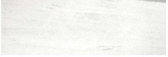 Polished Devotion 4X12 | Marino Tile NY