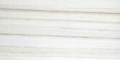 Polished Enchantment 24X48 | Marino Tile NY