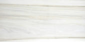 Polished Enchantment 24X48 | Marino Tile NY