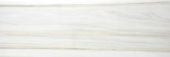 Polished Enchantment 4X12 | Marino Tile NY