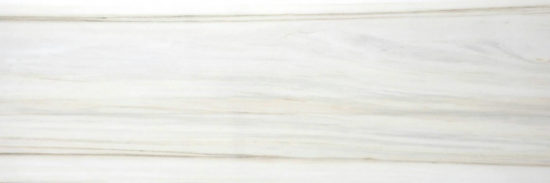 Polished Enchantment 4X12 | Marino Tile NY