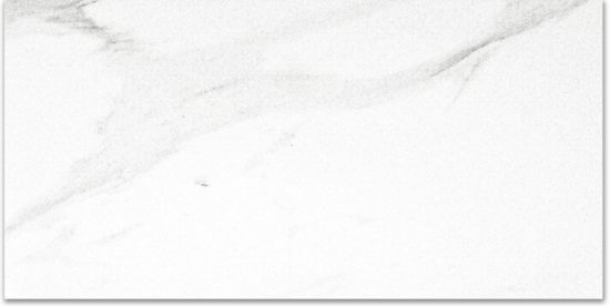 Polished Infatuation 12X24 | Marino Tile NY