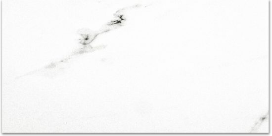 Polished Infatuation 16X32 | Marino Tile NY