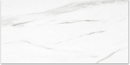 Polished Infatuation 16X32 | Marino Tile NY