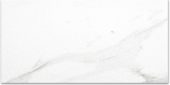 Polished Infatuation 16X32 | Marino Tile NY
