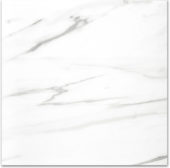 Polished Infatuation 24X24 | Marino Tile NY