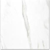 Polished Infatuation 24X24 | Marino Tile NY