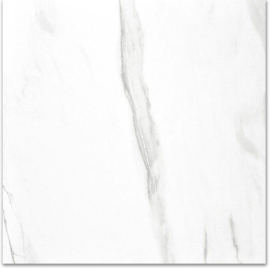 Polished Infatuation 24X24 | Marino Tile NY