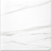 Polished Infatuation 24X24 | Marino Tile NY