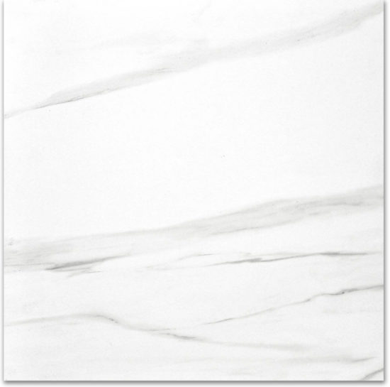 Polished Infatuation 24X24 | Marino Tile NY
