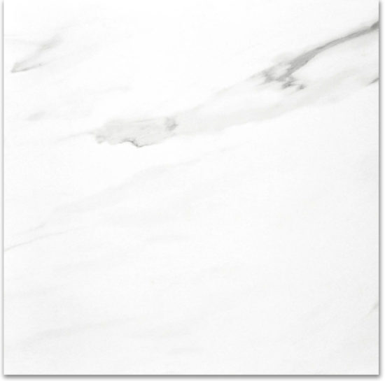 Polished Infatuation 24X24 | Marino Tile NY