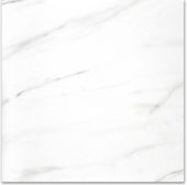 Polished Infatuation 24X24 | Marino Tile NY