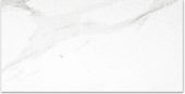 Polished Infatuation 24X48 | Marino Tile NY