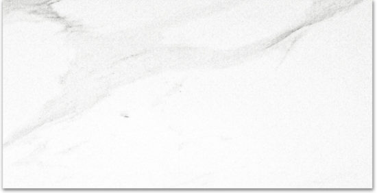 Polished Infatuation 24X48 | Marino Tile NY
