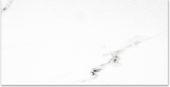 Polished Infatuation 24X48 | Marino Tile NY