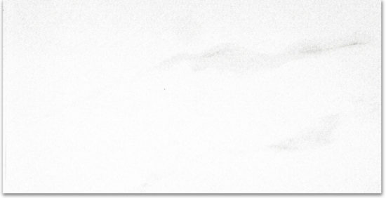 Polished Infatuation 24X48 | Marino Tile NY