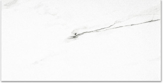 Polished Infatuation 24X48 | Marino Tile NY
