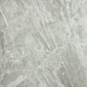 Polished Inspiration 24X24 | Marino Tile NY