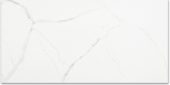 Polished Love 12X24 | Marino Tile NY