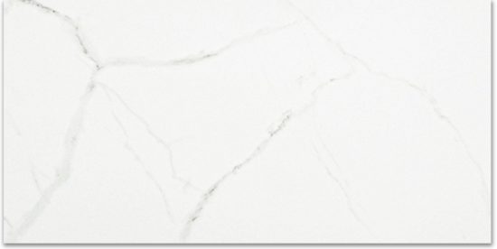 Polished Love 12X24 | Marino Tile NY