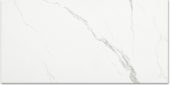 Polished Love 12X24 | Marino Tile NY