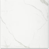 Polished Love 24X24 | Marino Tile NY