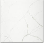Polished Love 24X24 | Marino Tile NY