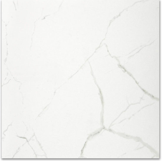 Polished Love 24X24 | Marino Tile NY