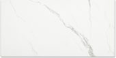 Polished Love 24X48 | Marino Tile NY