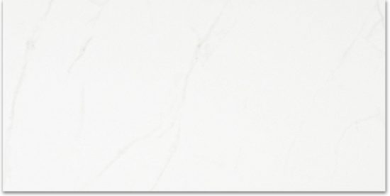 Polished Love 24X48 | Marino Tile NY